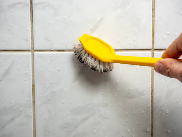Best Black Mold Removal  in Springdale, OH