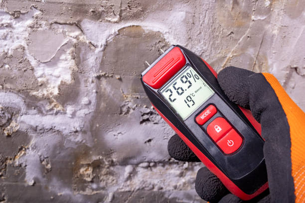 Best Mold Testing  in Springdale, OH