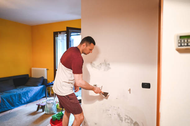Certified Mold Removal in Springdale, OH